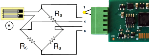 Strain Gauge Interface